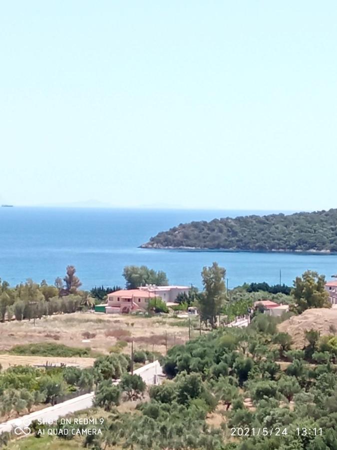 Villas Guest House Vathí Esterno foto